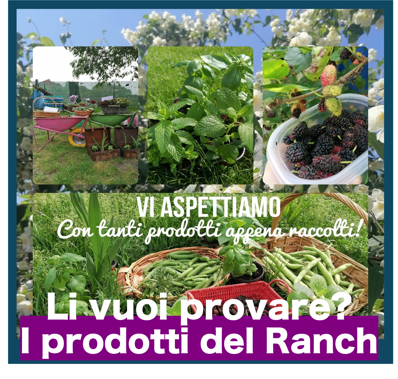 immagine evento